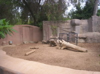 Highlight for Album: San Diego Zoo Pictures 07/17/06